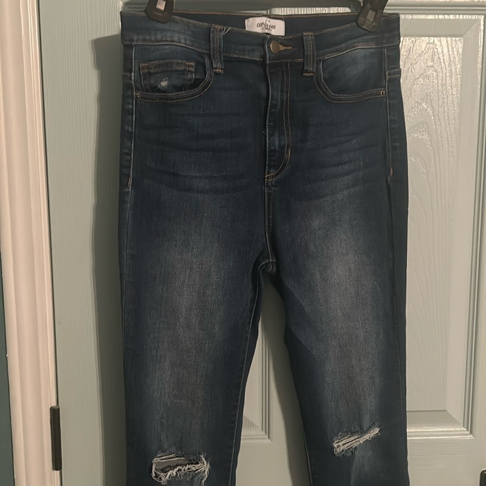 Carly Jean Los Angeles high rise distressed skinny jean